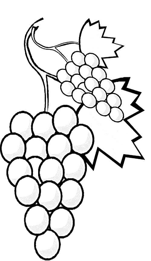 Plansa de colorat cu Fructe 222 8